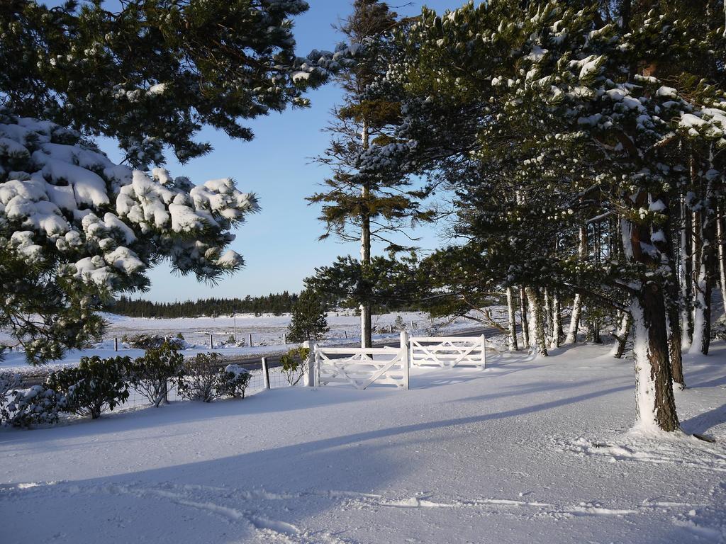 Dava School House Bed & Breakfast Grantown-on-Spey ภายนอก รูปภาพ
