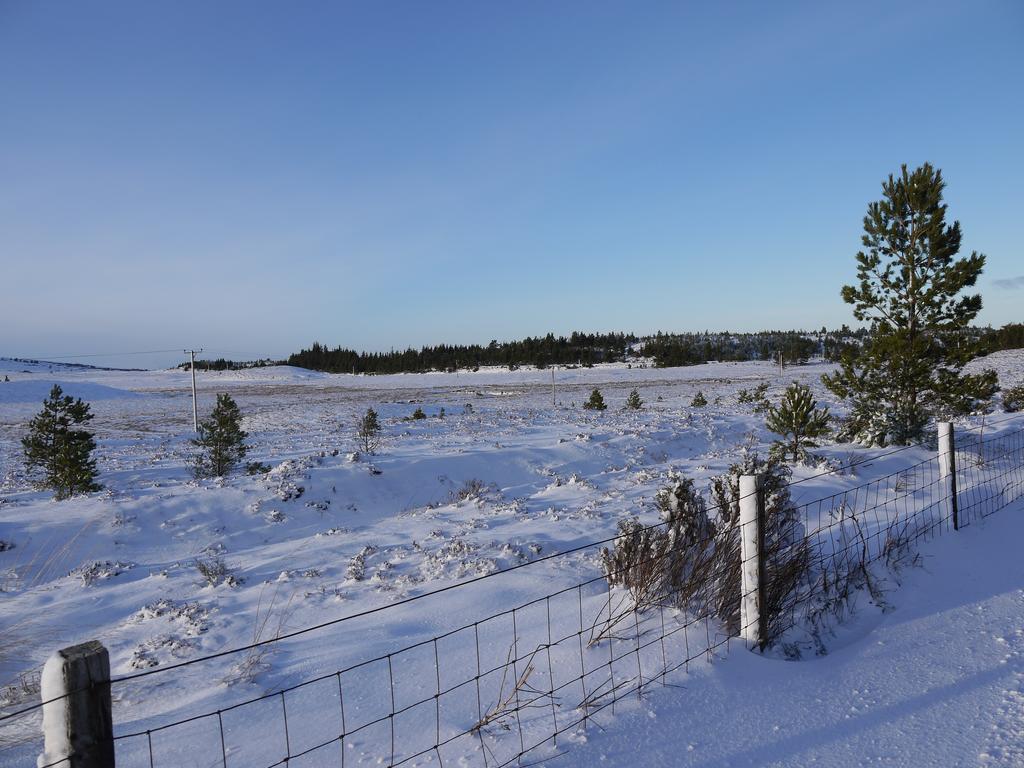 Dava School House Bed & Breakfast Grantown-on-Spey ภายนอก รูปภาพ
