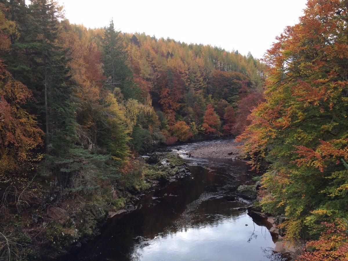 Dava School House Bed & Breakfast Grantown-on-Spey ภายนอก รูปภาพ